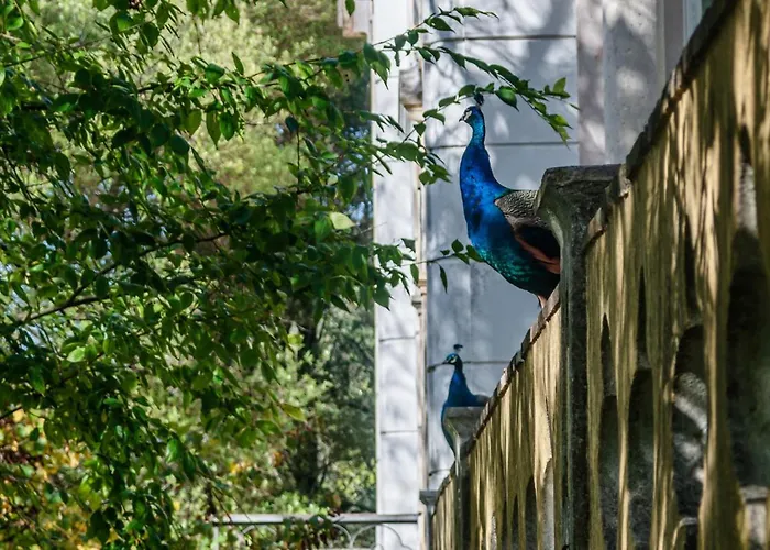 Casas Da Tapada